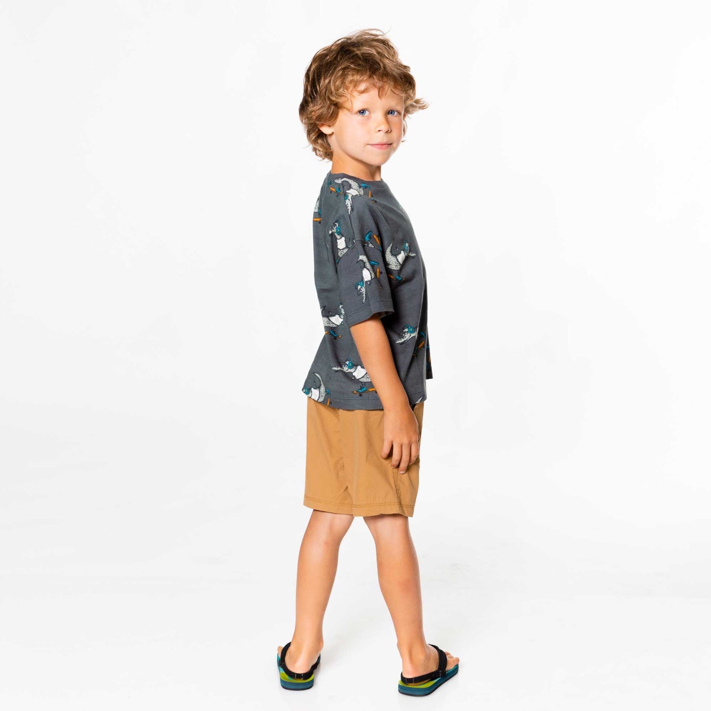 Extensible Canvas Short Brown Sugar