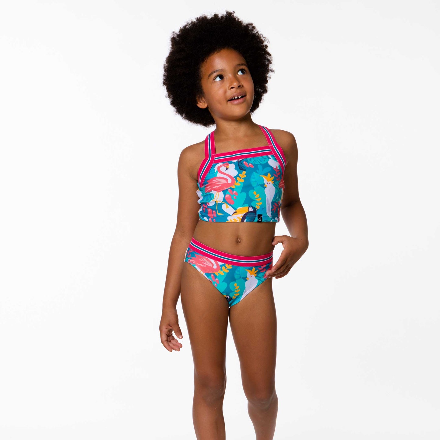 Two Piece Flamingo Swimsuit